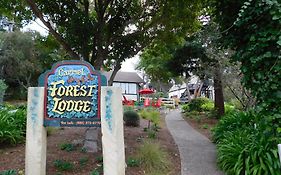 Forest Lodge Carmel